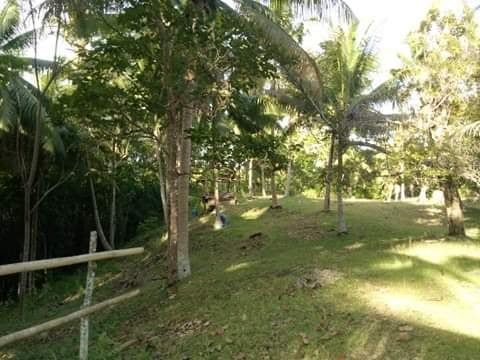 lot baclayon bohol -04