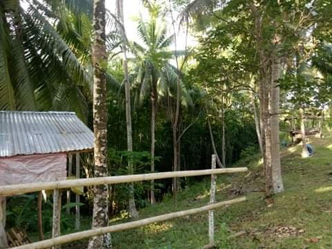 lot baclayon bohol -05