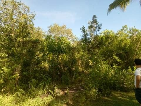 lot baclayon bohol -07