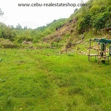 lot for sale -04