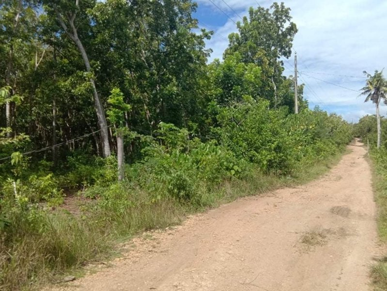 lot lourdes panglao bohol -01