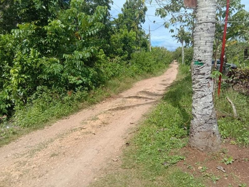 lot lourdes panglao bohol -02