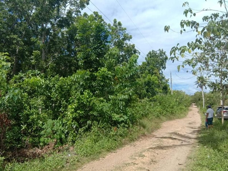 lot lourdes panglao bohol -03