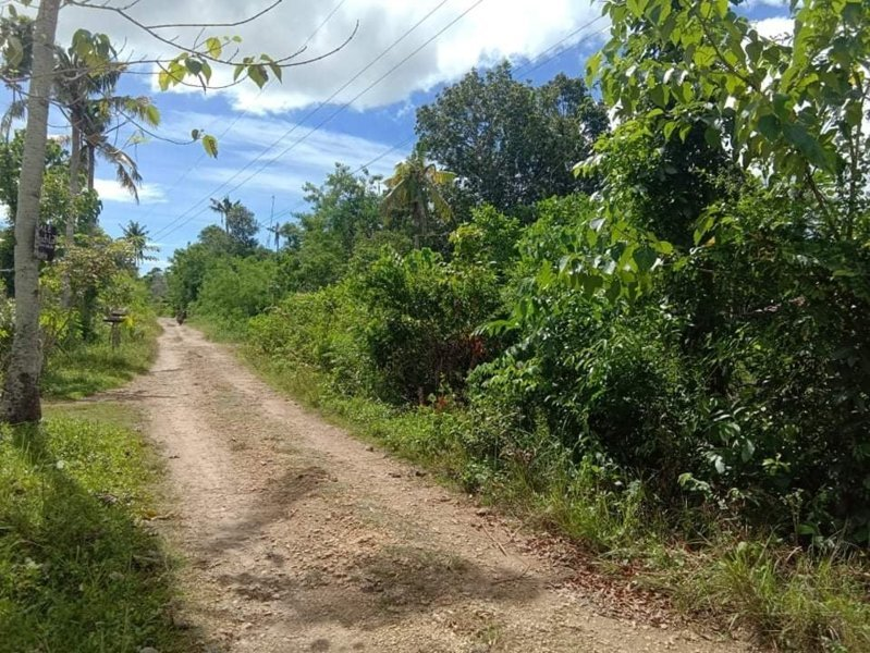 lot lourdes panglao bohol -04
