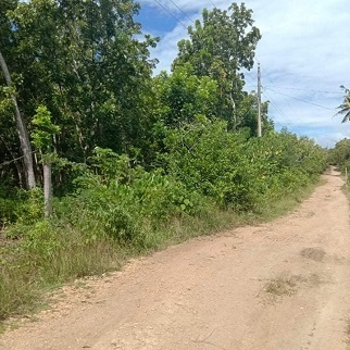 5,000/sqm Land for Sale - Panglao, Bohol, Philippines