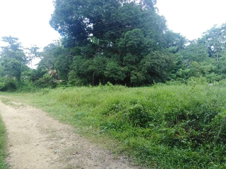 lot maribojoc bohol -01