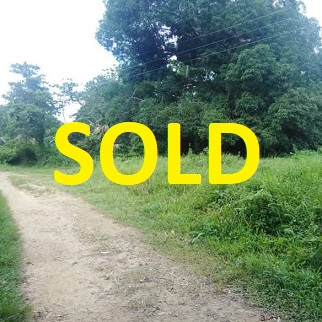 250/sqm Land for Sale - Maribojoc, Bohol, Philippines