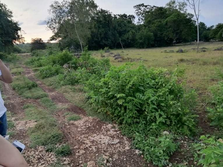 lot near panglao airport -01