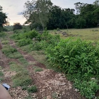 6,000/sqm near Airport Lot - Panglao Bohol Philippines for sale in Cebu, Philippines