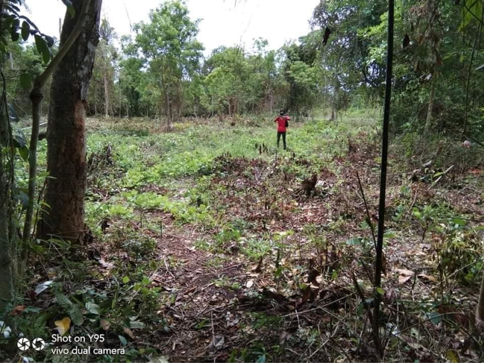 lot for sale in bil-isan panglao bohol - 01