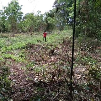 2,300/sqm Lot for Sale - Bil-isan, Panglao, Bohol