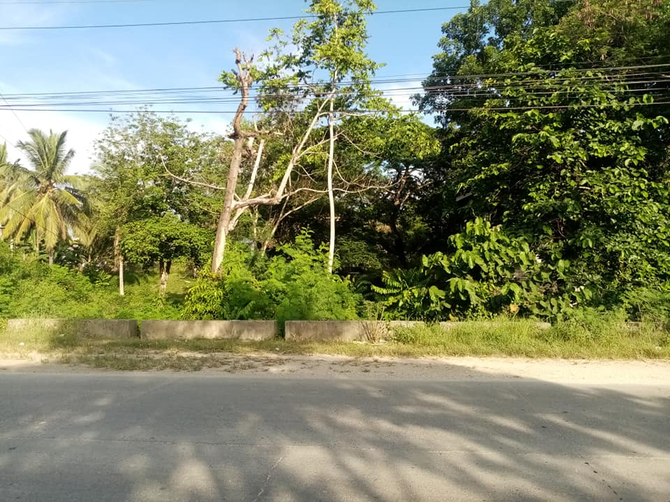 lot for sale in tagbilaran -01