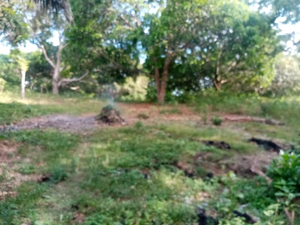 lot for sale in tagbilaran -02