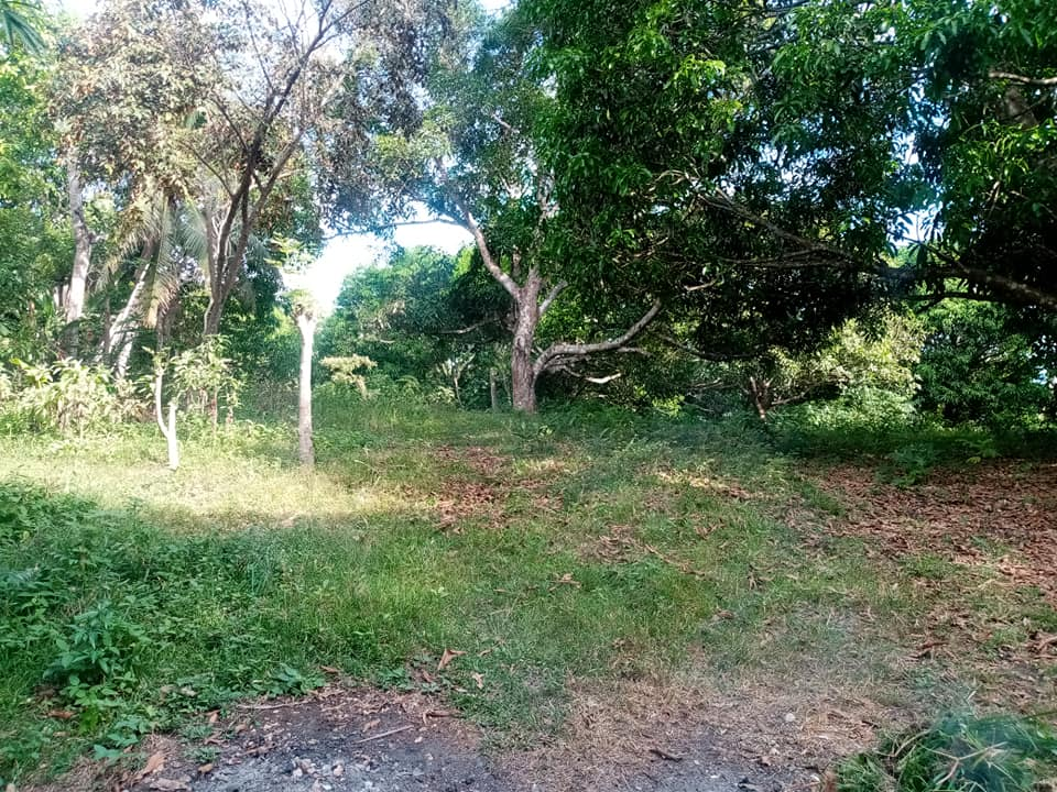 lot for sale in tagbilaran -03