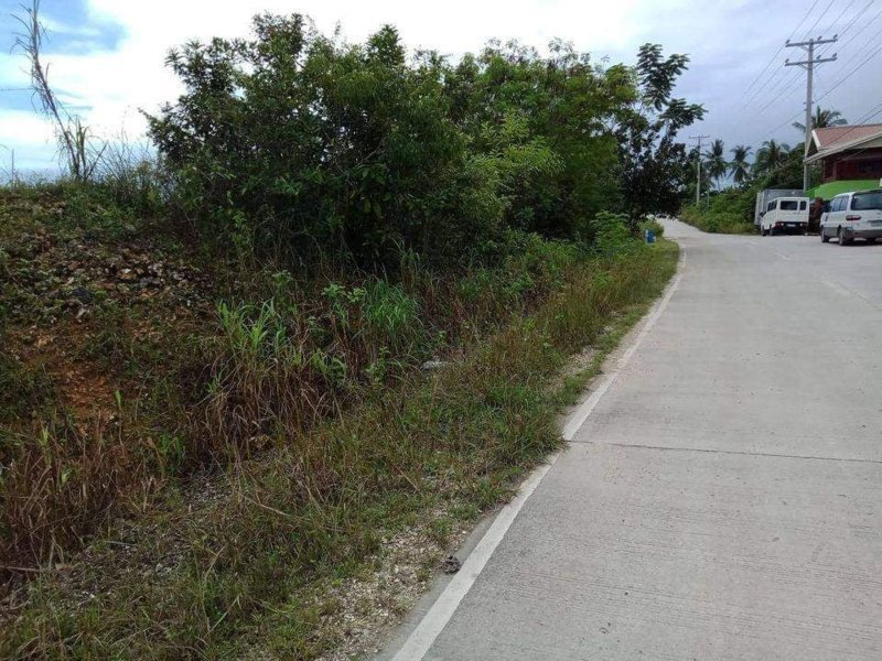 lot tagbilaran city bohol -01