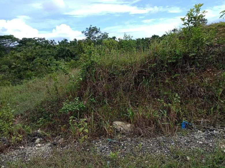 lot tagbilaran city bohol -04