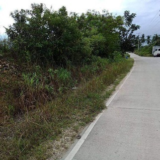 4,000/sqm Lot for Sale - Tagbilaran City Bohol