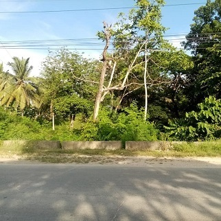 Properties for Sale - Tagbilaran City, Bohol