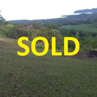 50/sqm Overlooking - Paraiso, Mabini, Bohol for sale in Cebu, Philippines