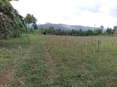 magcagong -02