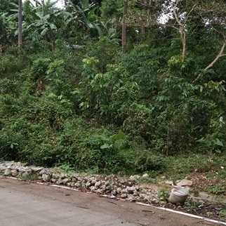 Land Properties for Sale - Magsico, San Fernando, Cebu