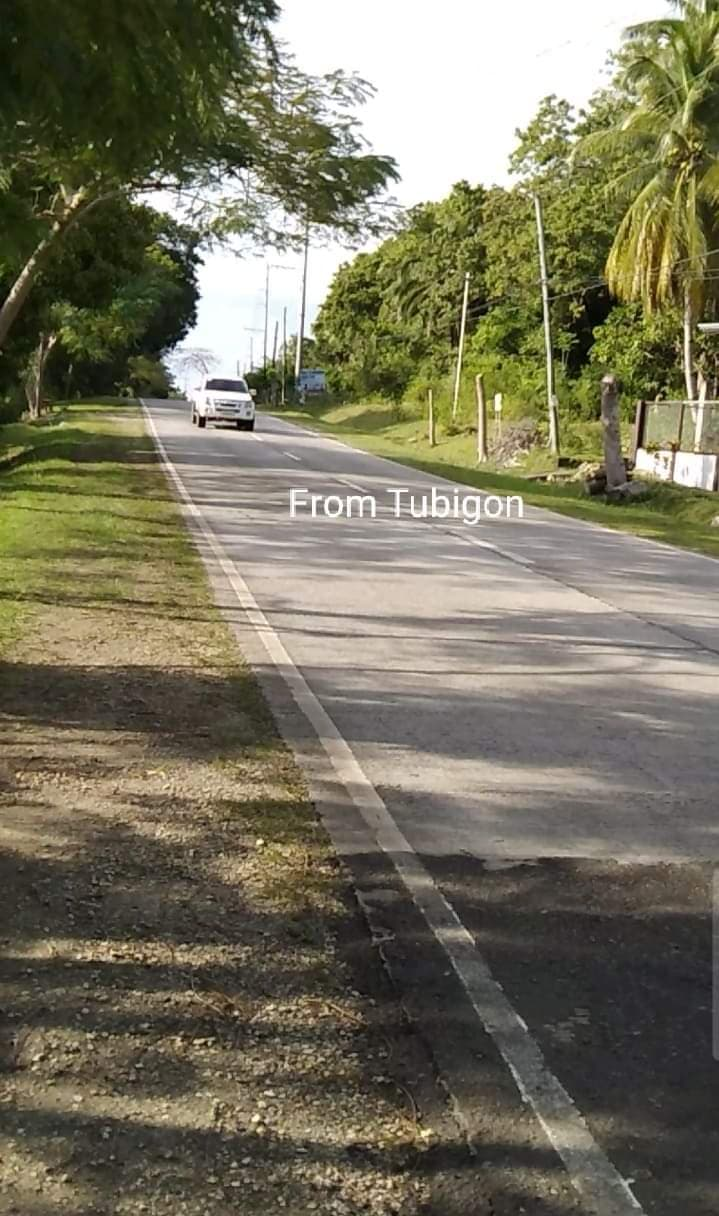 maribojoc bohol properties -01