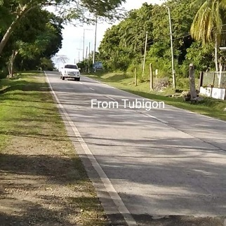 1,000/sqm Properties for Sale - Maribojoc, Bohol, Philippines