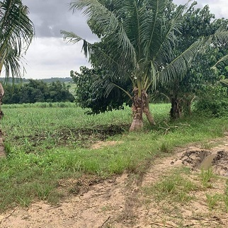 320/sqm Properties - Caputatan Norte, Medellin for sale in Cebu, Philippines