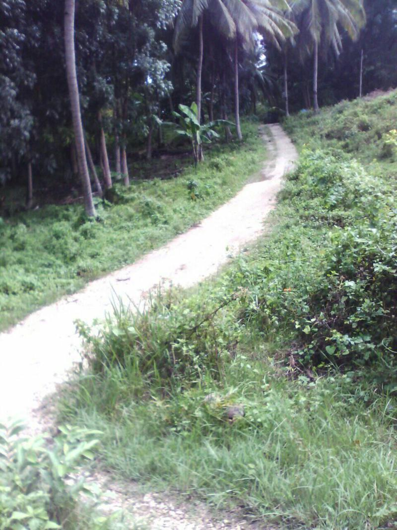 mountain argao -02