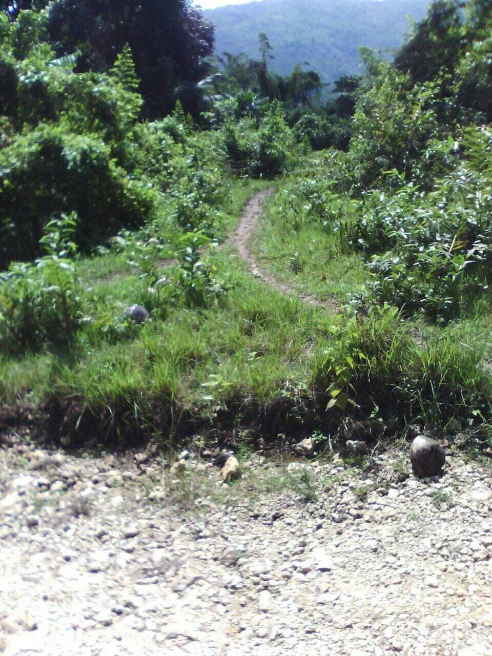 mountain argao -03