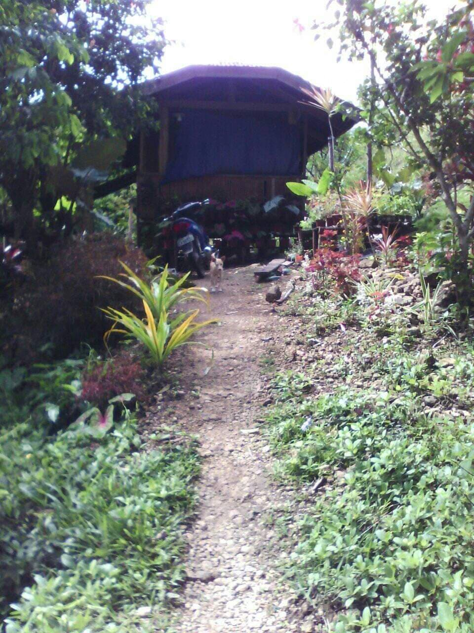 mountain argao -04