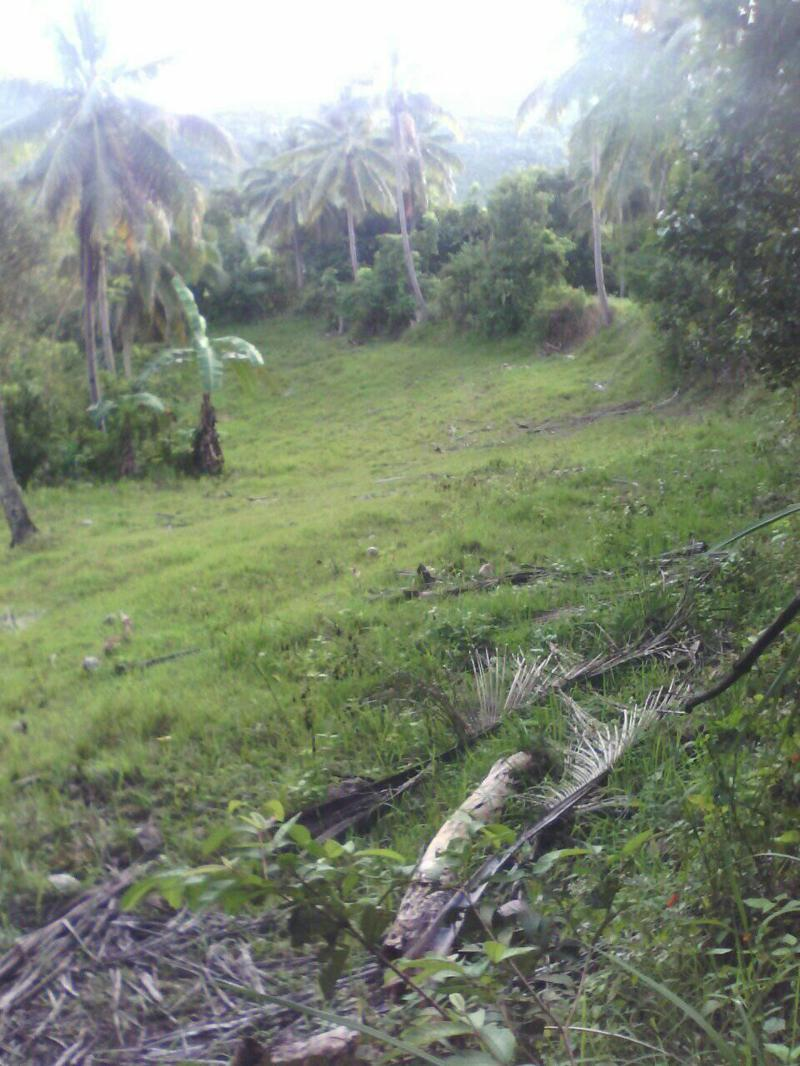 mountain argao -05