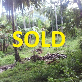 159/sqm Land for Sale - Mountain Argao, Cebu