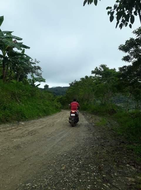 mountain balamban -01