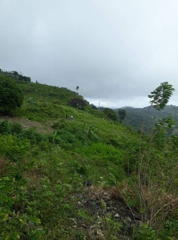 mountain balamban -03
