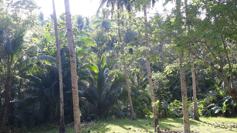 mountain sibonga -02
