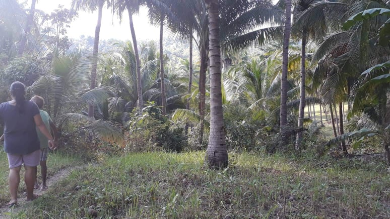 mountain sibonga -04