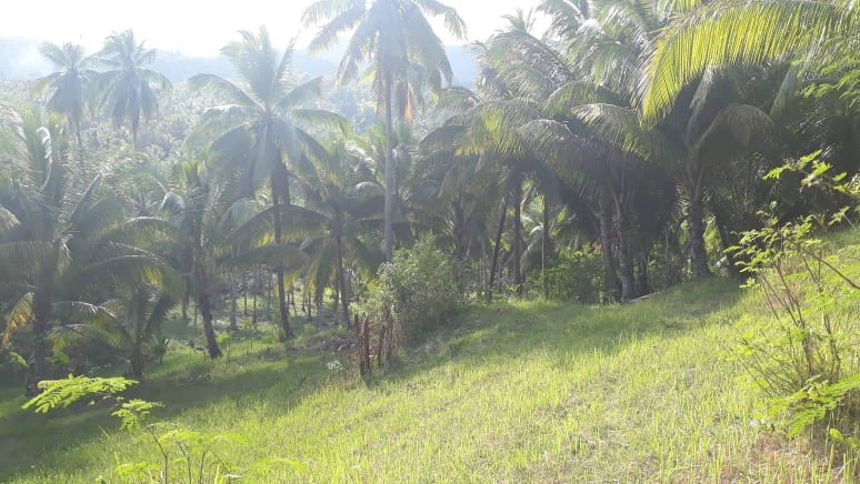 mountain sibonga -05