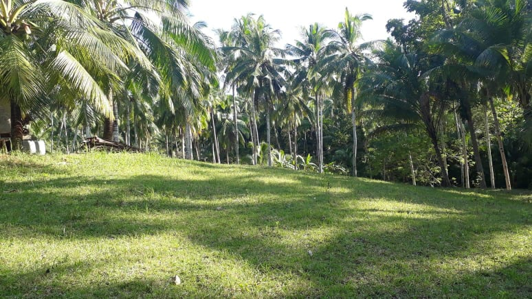 mountain sibonga -07