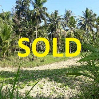 100/sqm Properties - Mountain Sibonga, Cebu for sale in Cebu, Philippines