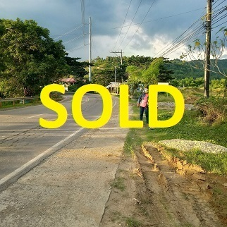 Commercial Land For Sale - Naga City, Cebu, Philippines