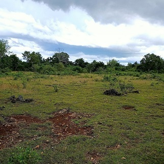 5,000/sqm near Airport - Panglao, Bohol, Philippines for sale in Cebu, Philippines