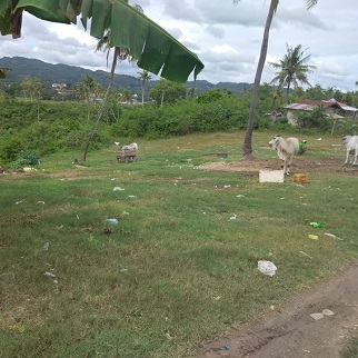 Properties for Sale - near Carcar City Hall