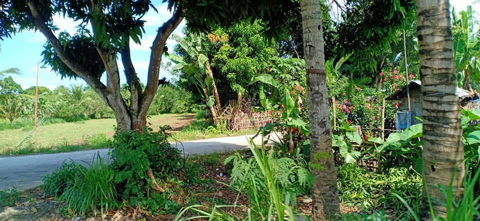 near gaisano -06