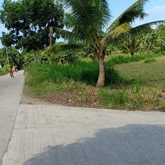 650/sqm Land for Sale - near Gaisano Toledo City