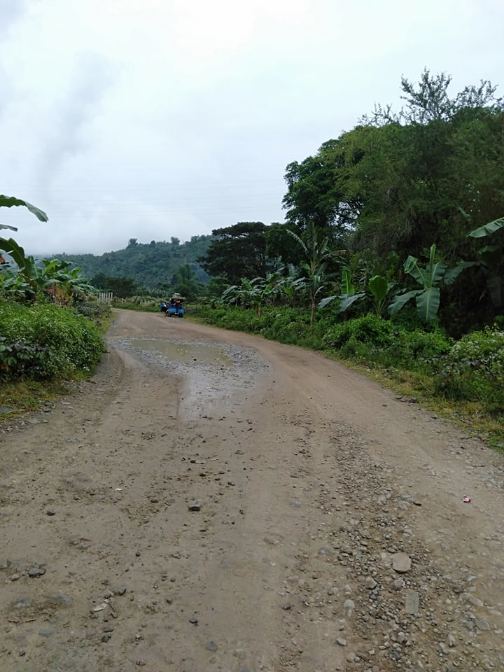 near school -01