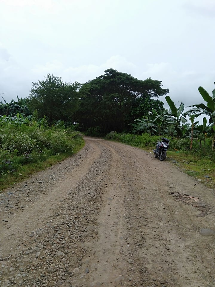 near school -02