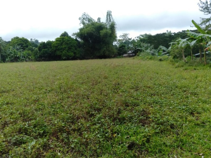 near school -04