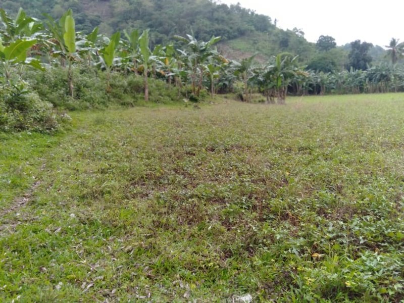 near school -05