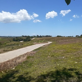 200/sqm Land for Sale - Sogod Northern Cebu